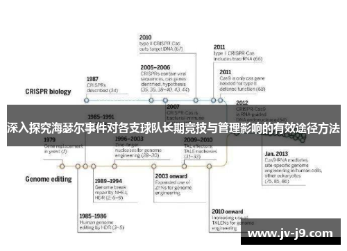 深入探究海瑟尔事件对各支球队长期竞技与管理影响的有效途径方法